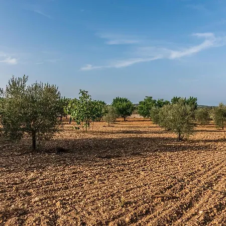 Apartman Rural Son Amer