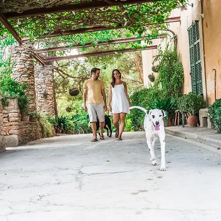 Rural Son Amer Apartment Manacor (Mallorca)