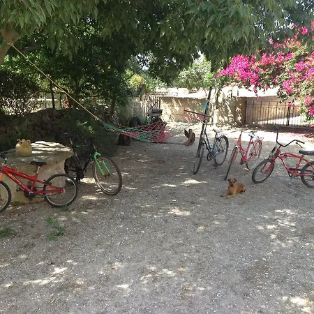 Apartamento Rural Son Amer *