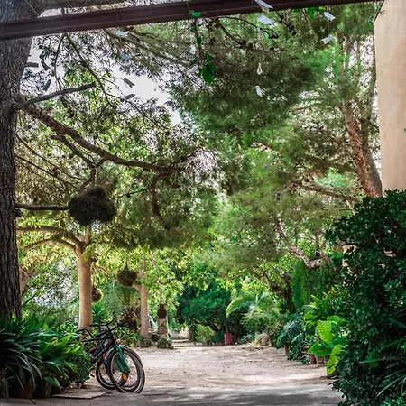 Apartamento Rural Son Amer